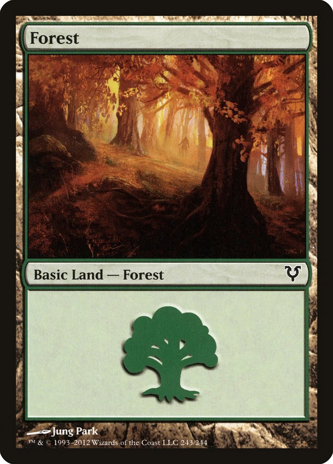 Forest (#243) [Avacyn Restored]