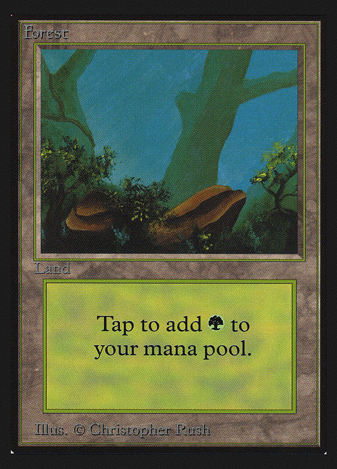 Forest (#300) [Collectors’ Edition]